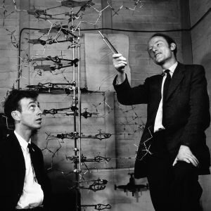 Watson e Crick con un modello del DNA e lo Sviluppo della biologia evoluzionistica: dalla genetica al cladismo