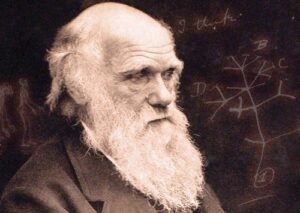 antropologia e Darwin