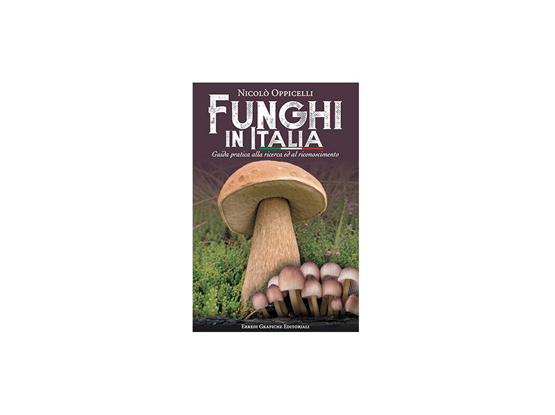 funghi in Italia
