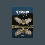 Fotografare il volo