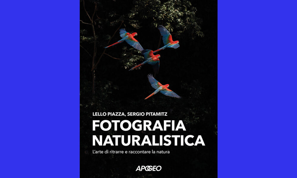 Fotografia naturalistica: L'arte di ritrarre e raccontare la natura