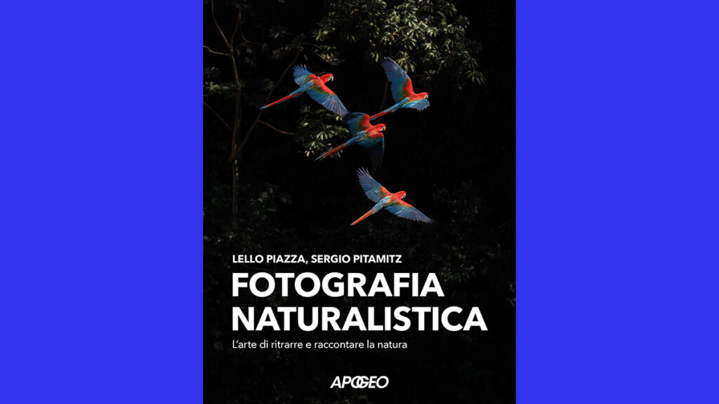 Fotografia naturalistica: L'arte di ritrarre e raccontare la natura
