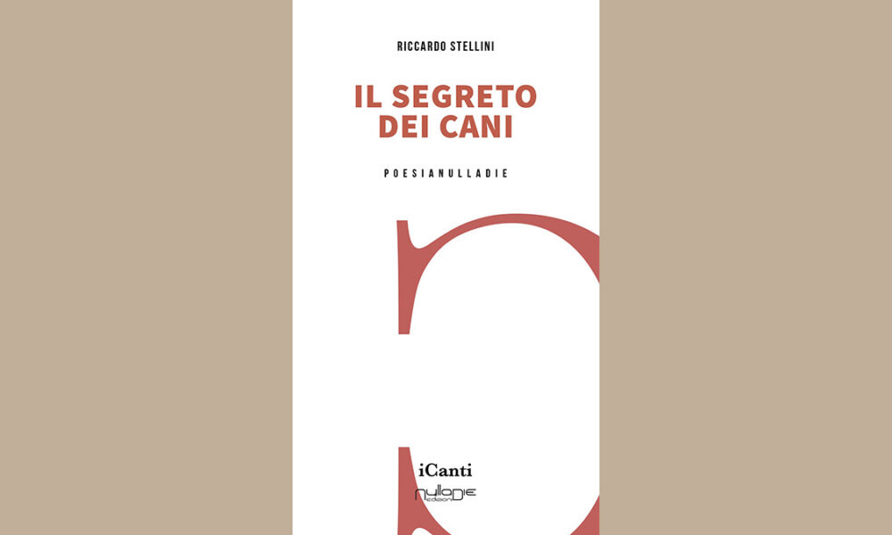 Il segreto dei cani