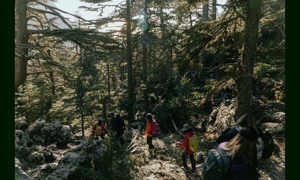 Vacanze tra trekking e natura: perché scegliere un agriturismo per un’esperienza completa se ami camminare immerso nella natura.