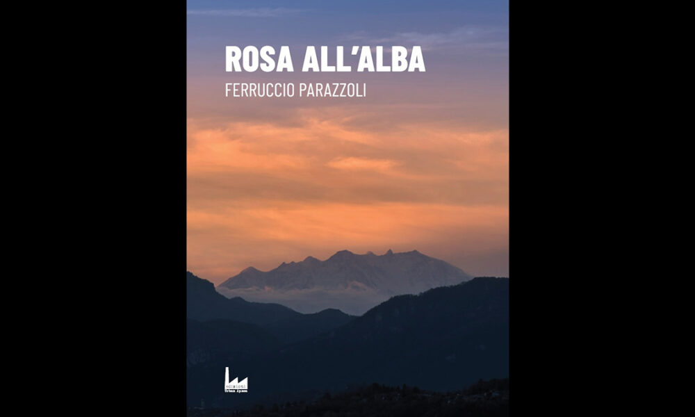 rosa-all'alba